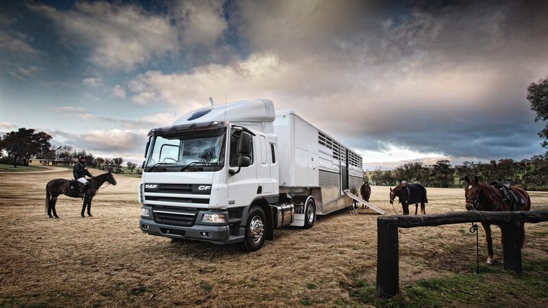 Horse transport truck in field