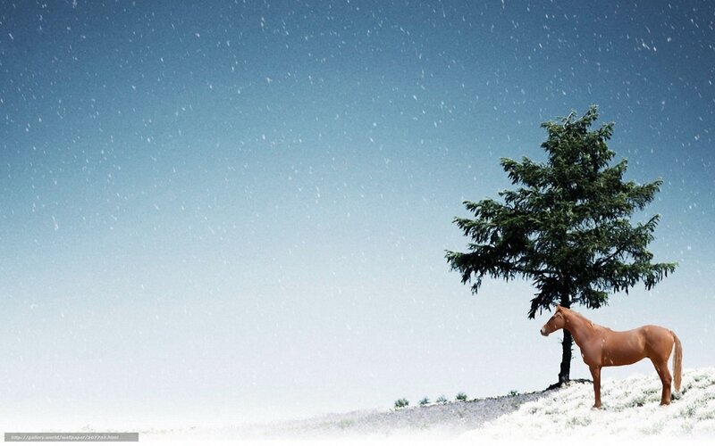 Horse under a tree in snow