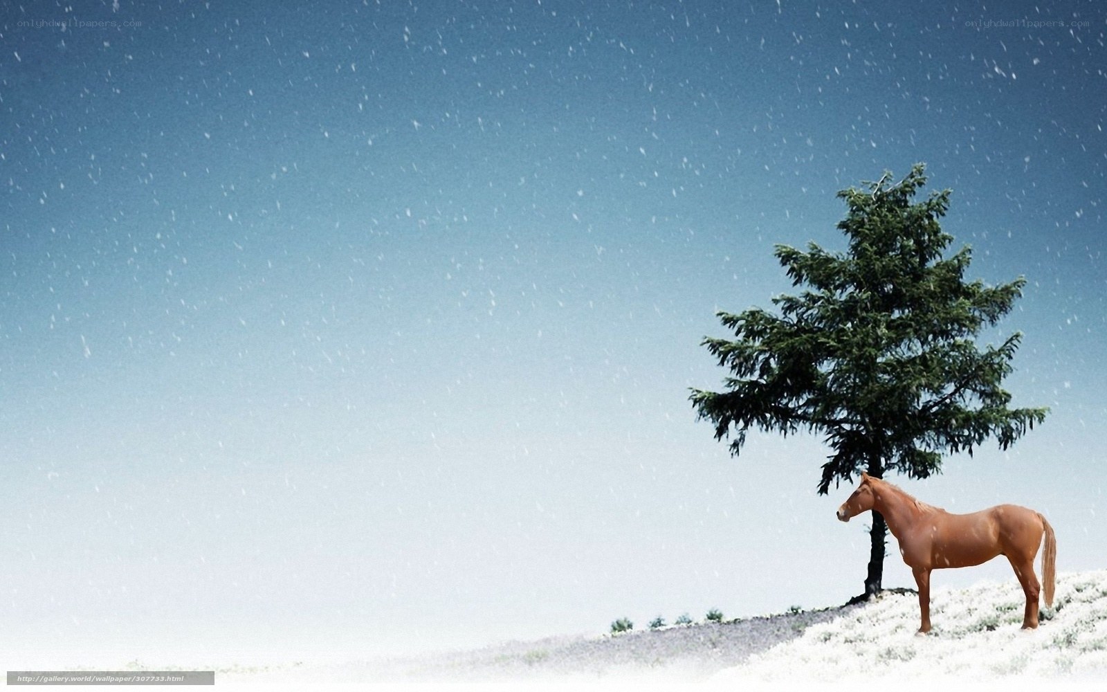 Horse under a tree in snow
