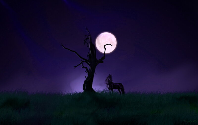 Horse under Moonlight