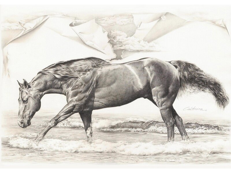 horse walking on beach