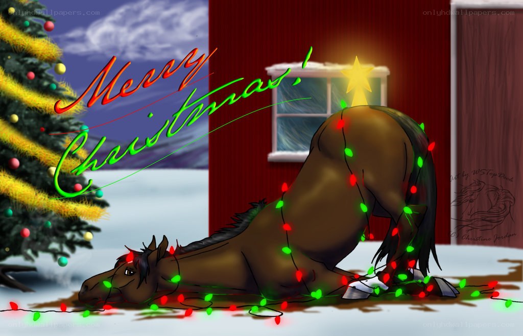 horse with christmas lights