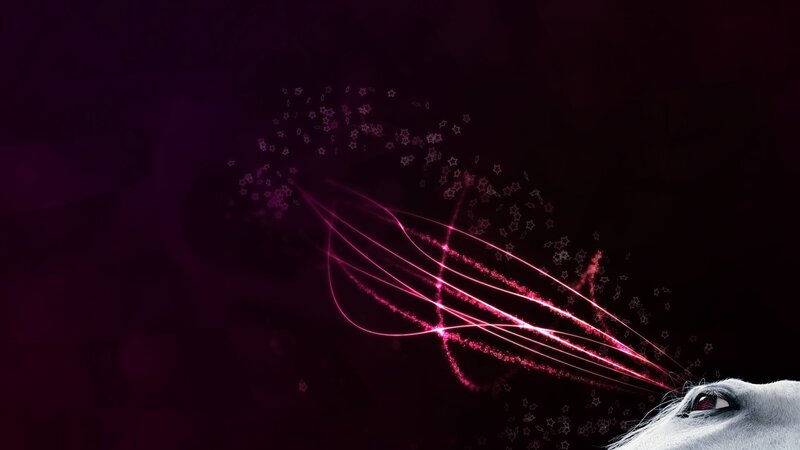 horse with glowing pink energy