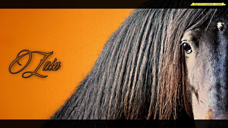 Horse with Long Mane — Orange