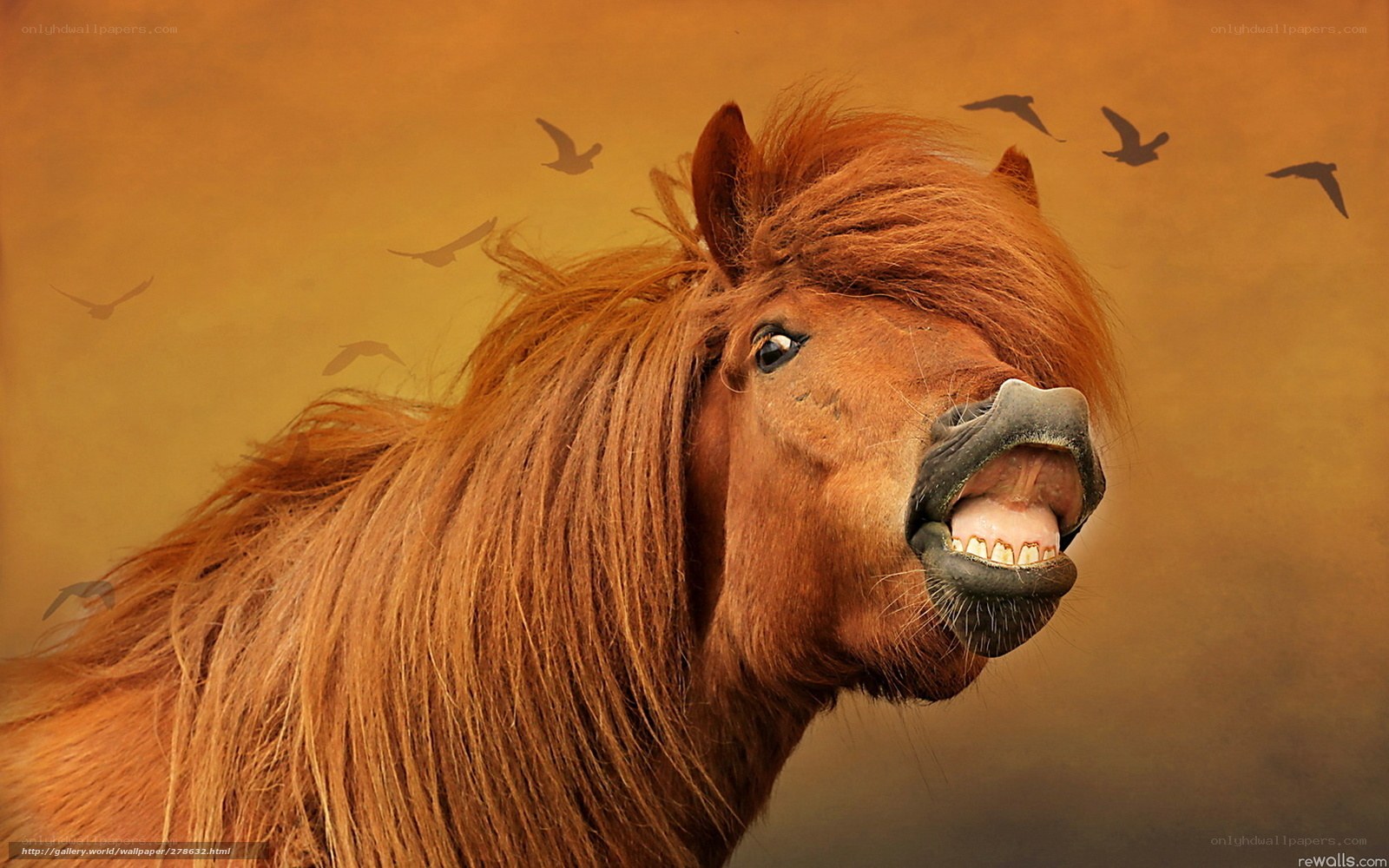 horse with open mouth