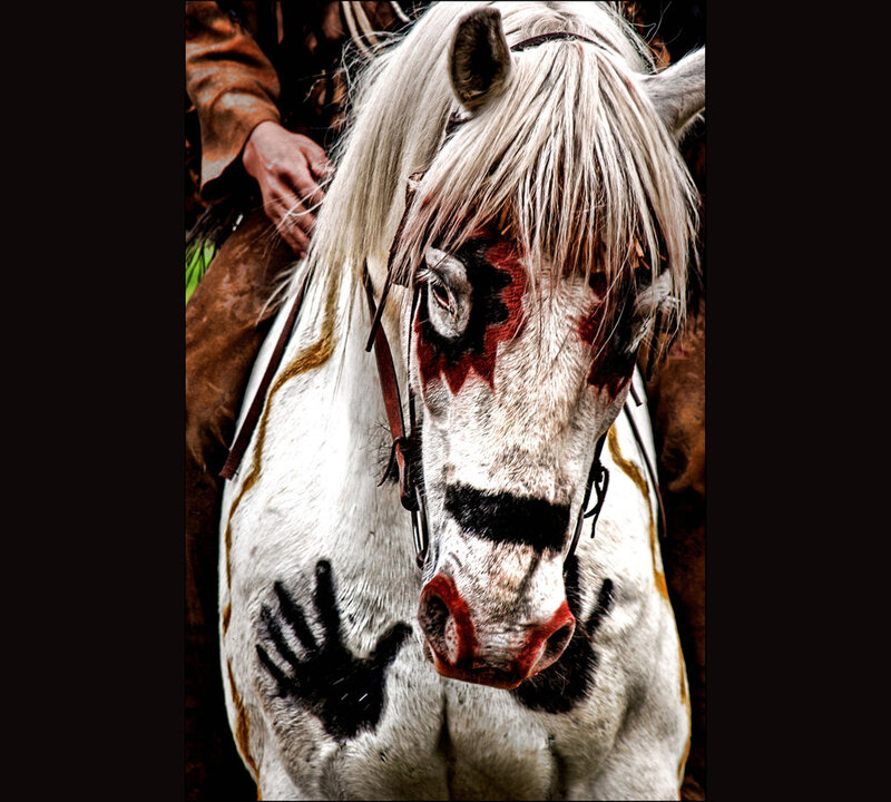 Horse with Painted Face