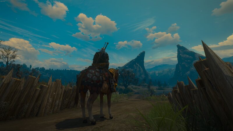 Horse with Rider on Path
