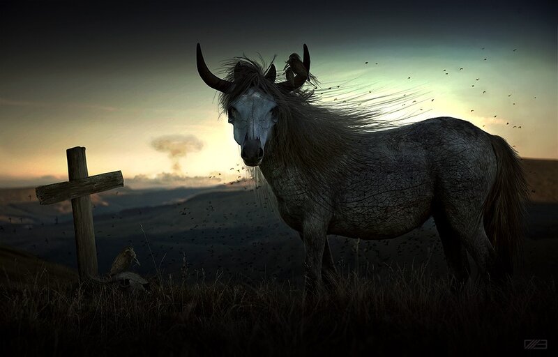 Horse with skull face at sunset