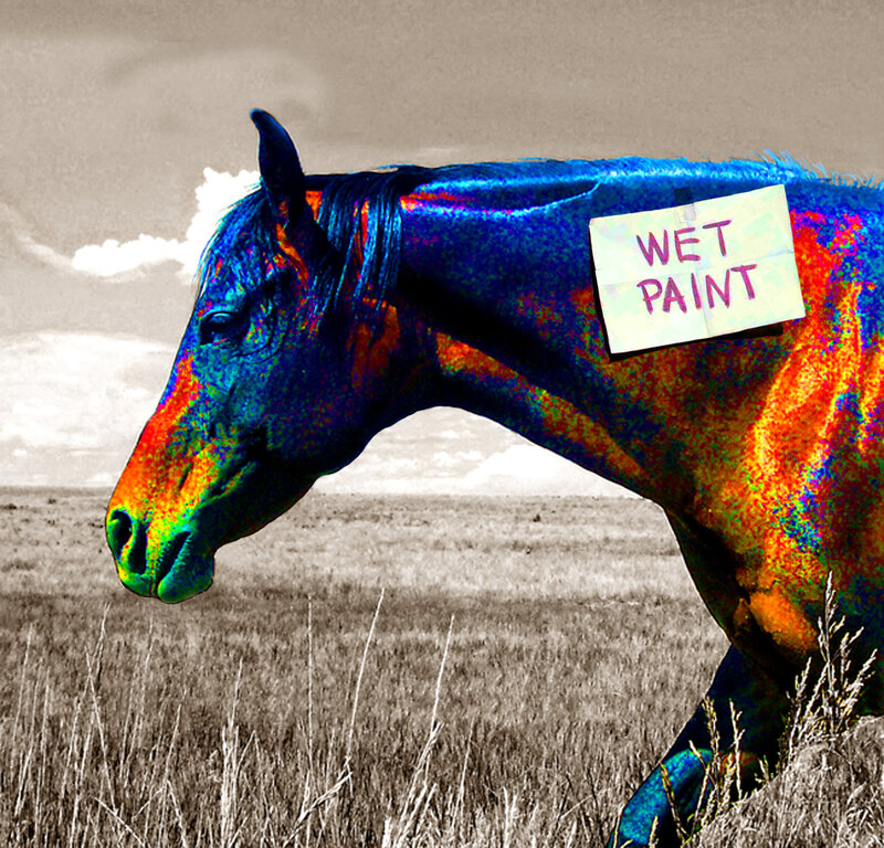horse with wet paint sign