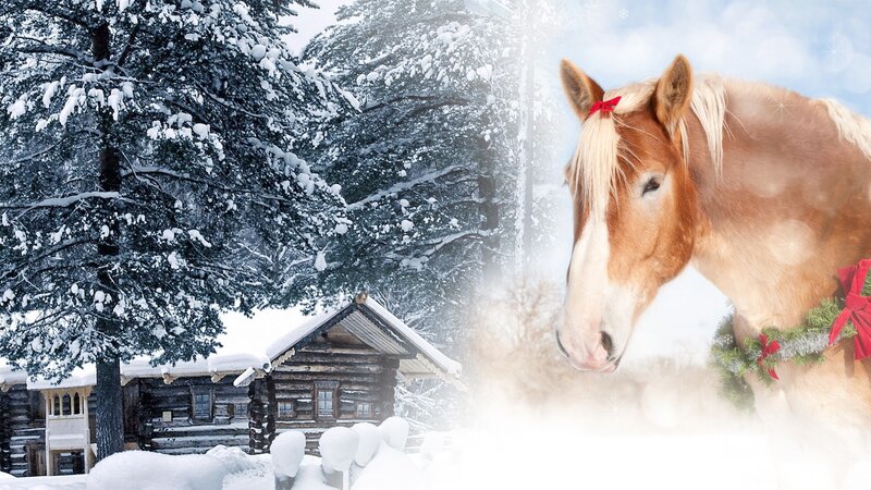 Horse with Wreath