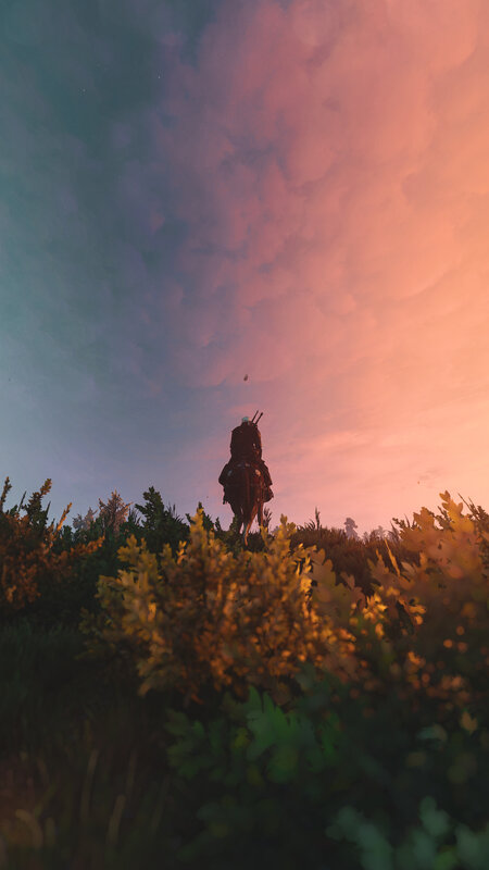Horseback Rider on Hill — Pink