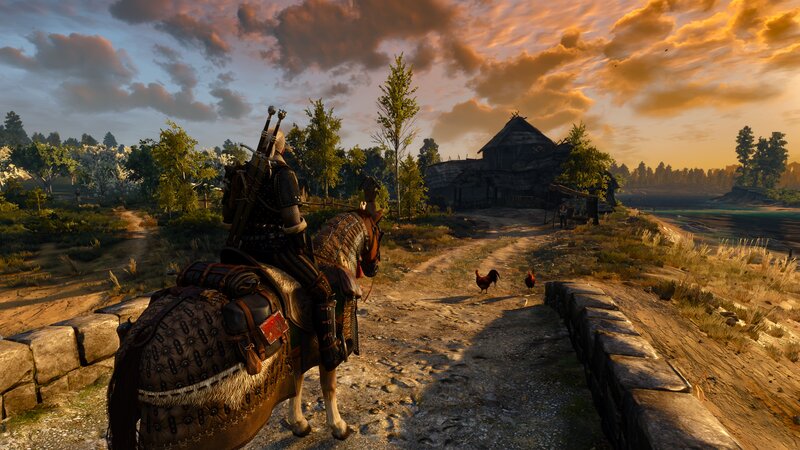 Horseback Rider on Path