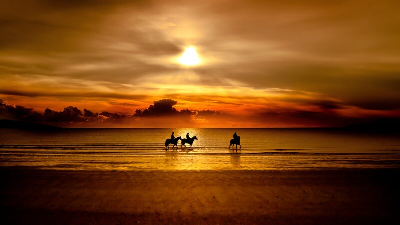 Horseback riders at sunset