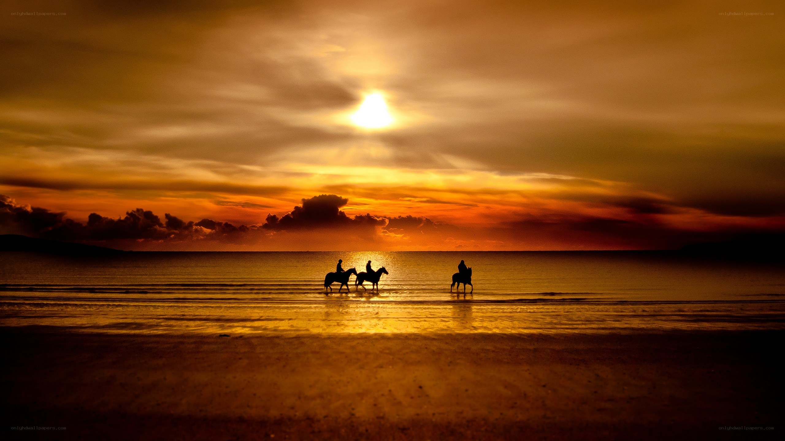 Horseback riders at sunset