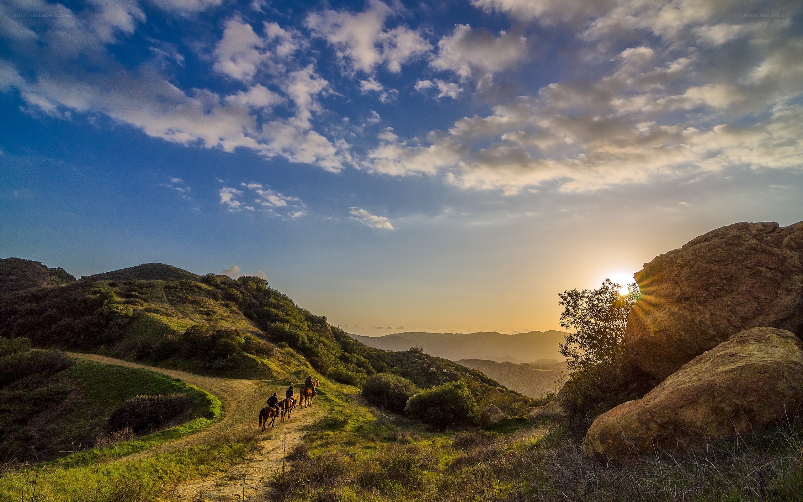 Horseback riders at sunset