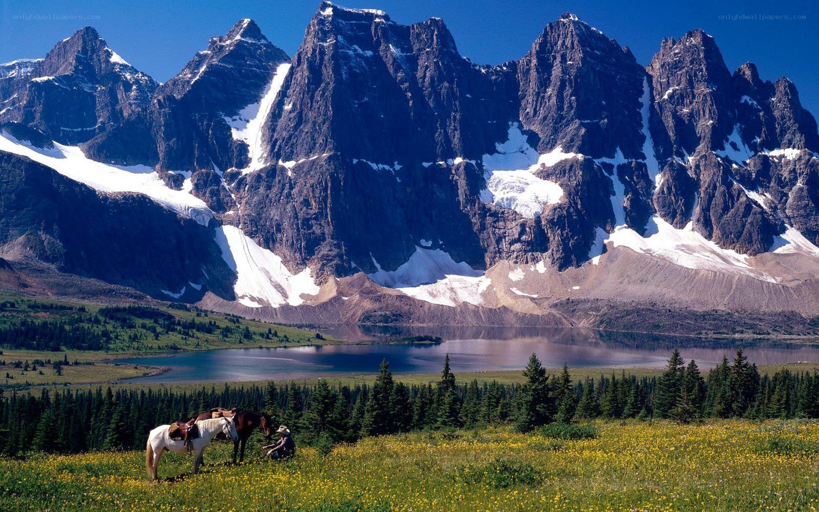 Horseback riders in mountain valley