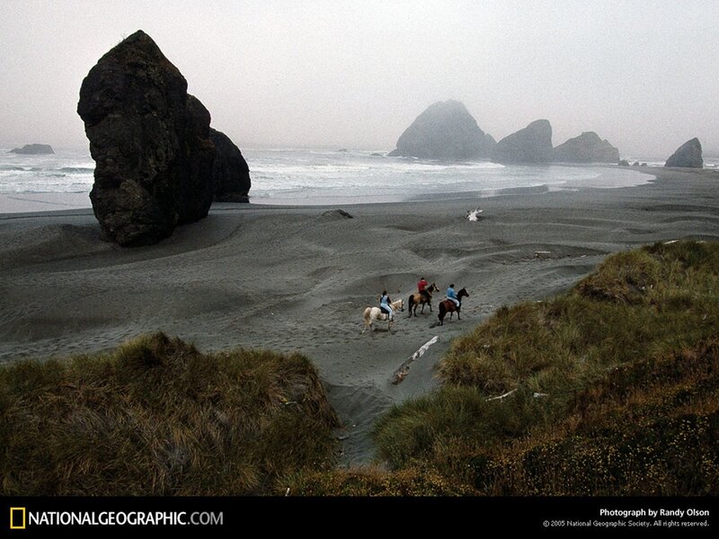 Horseback riders on a foggy beach