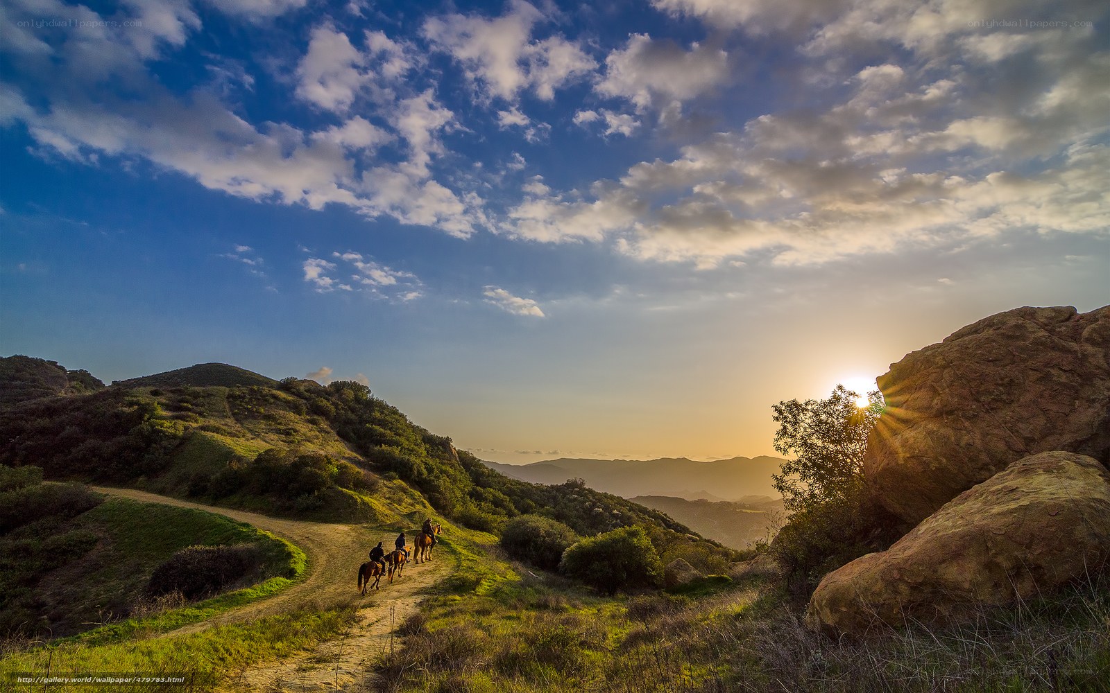 Horseback riders on a hillside trail