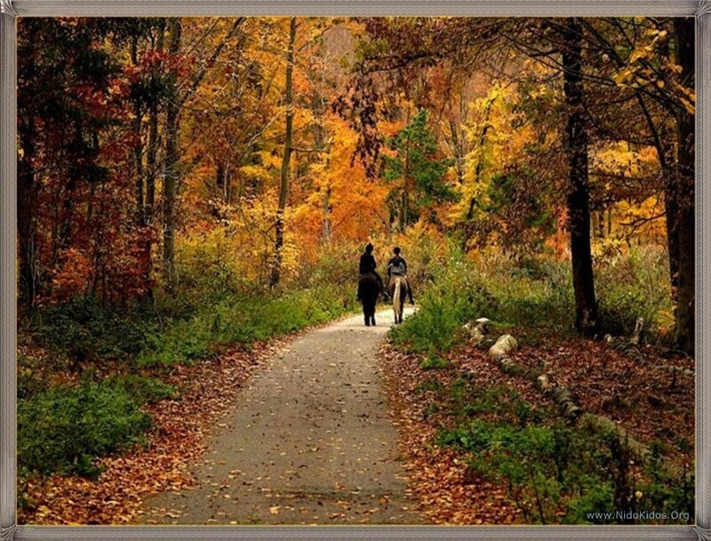 Horseback riding in autumn forest