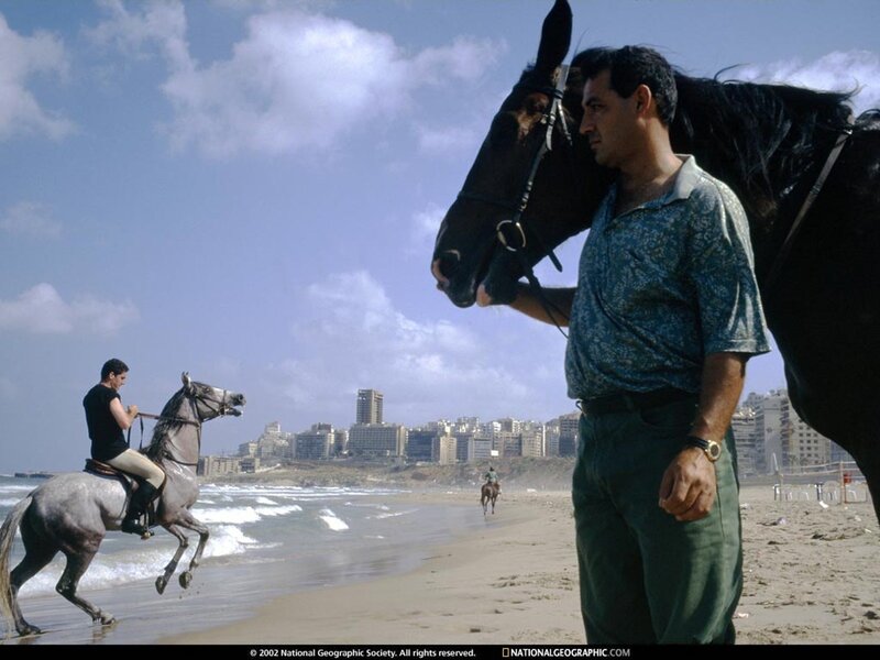 Horseback riding on a beach