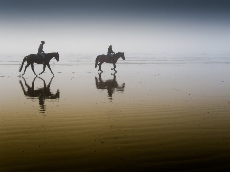 Horseback riding on a foggy beach