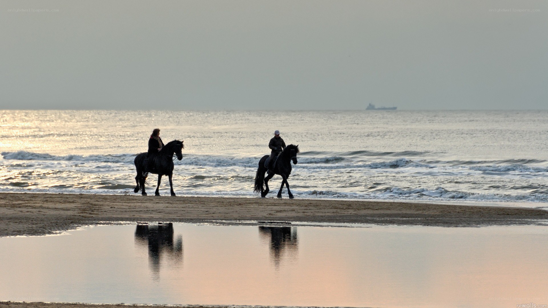 Horseback riding on the beach