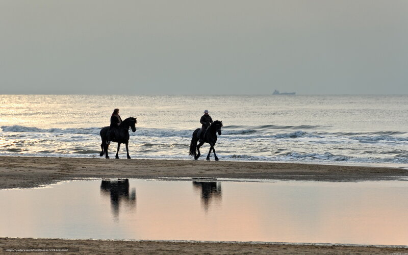 Horseback riding on the beach