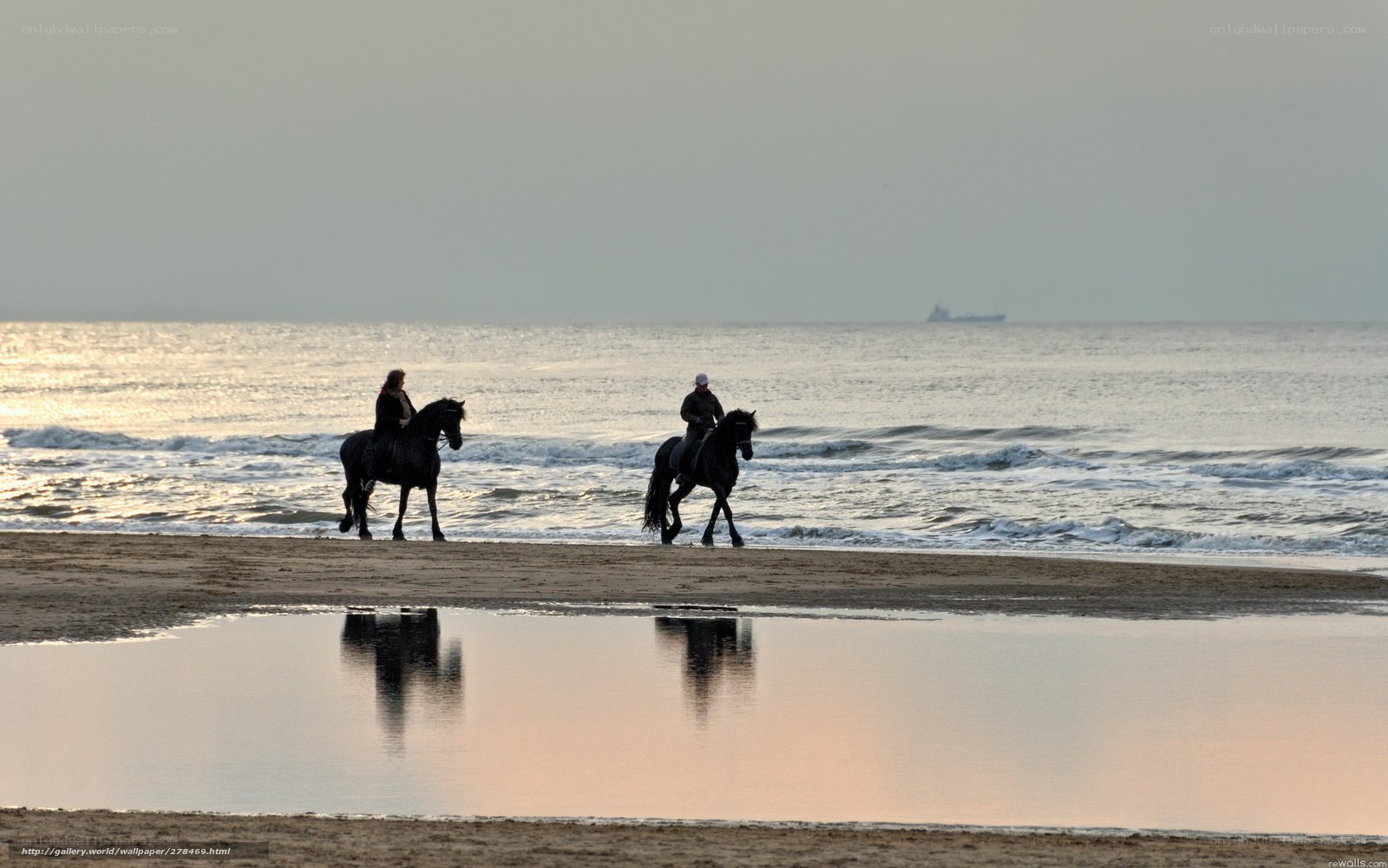 Horseback riding on the beach