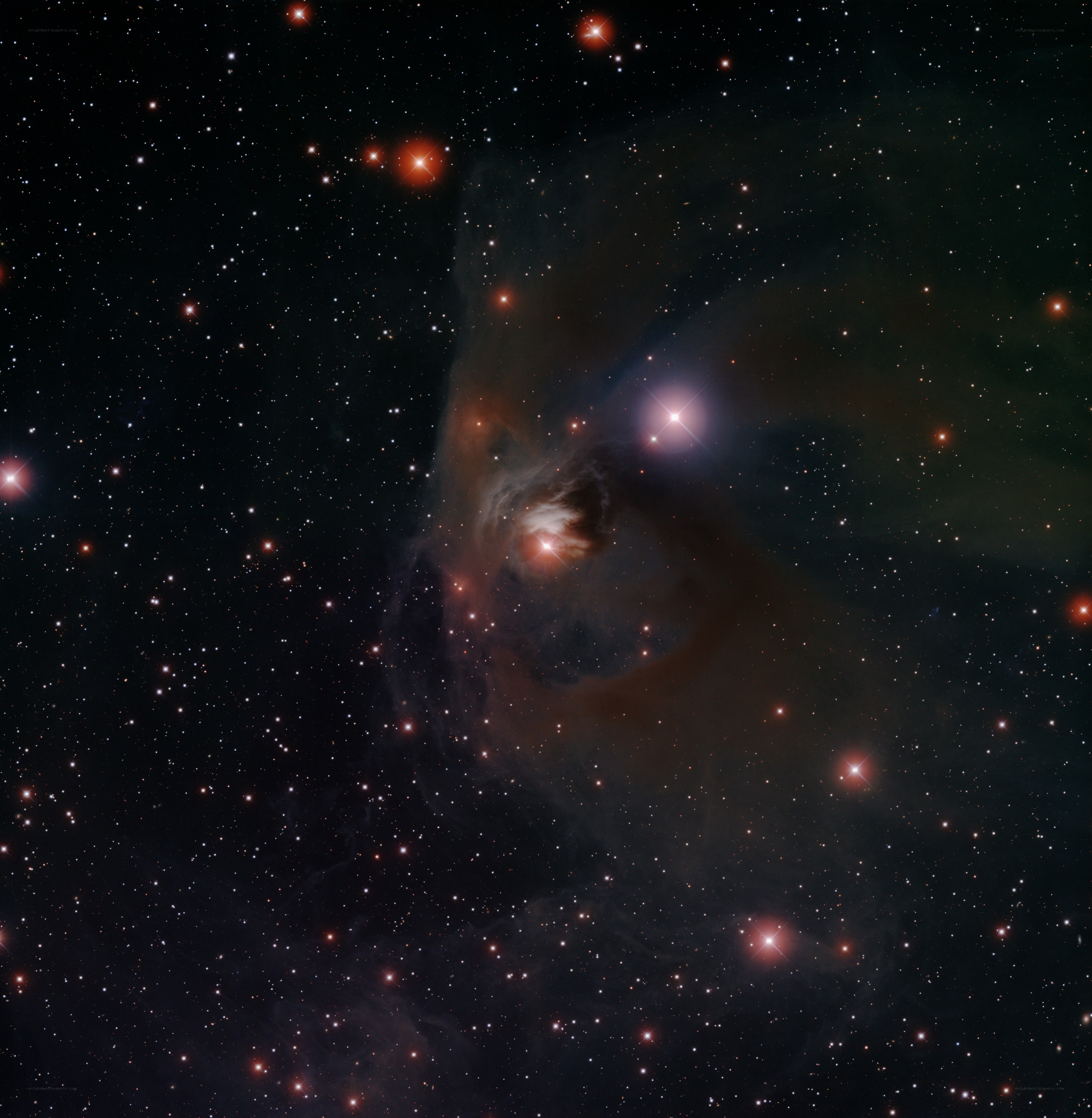 Horsehead Nebula in Orion