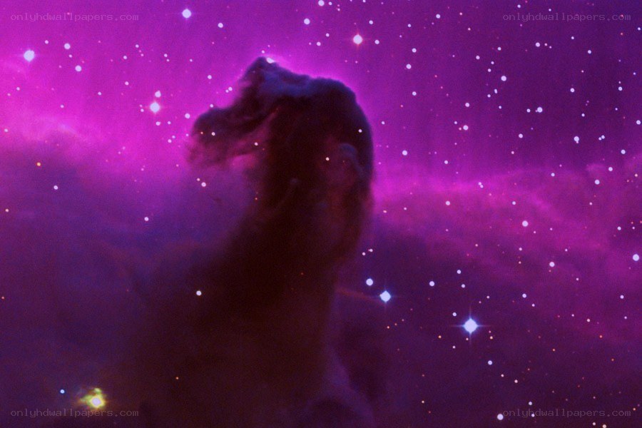 Horsehead Nebula in purple
