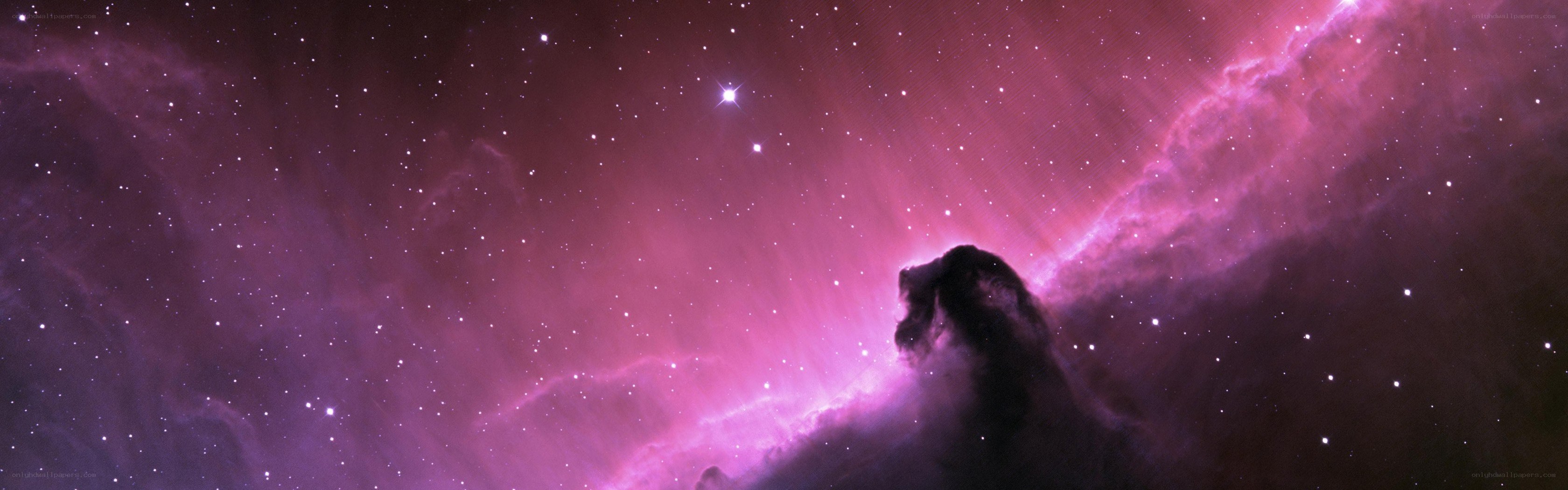 Horsehead Nebula in space