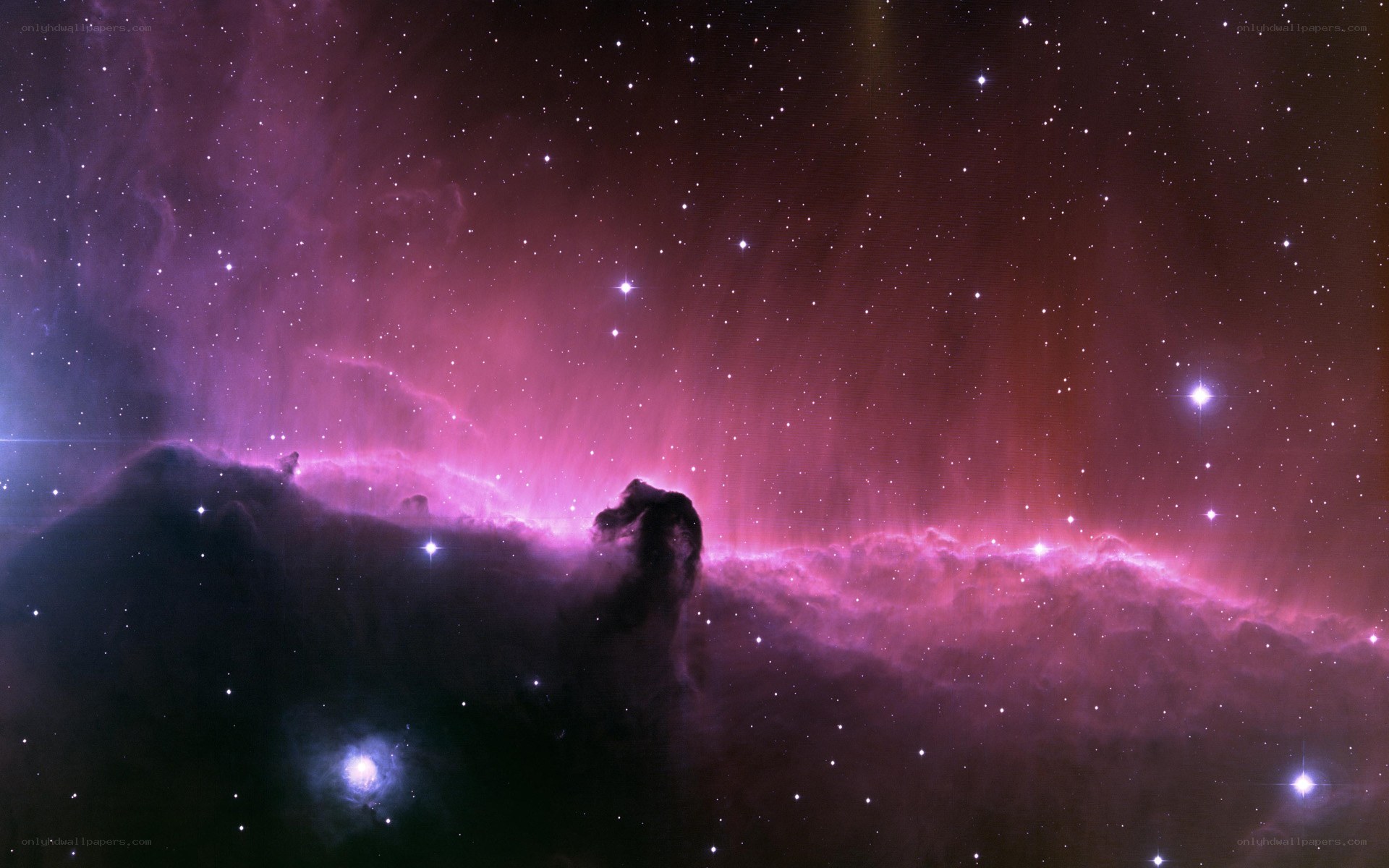 Horsehead Nebula in space
