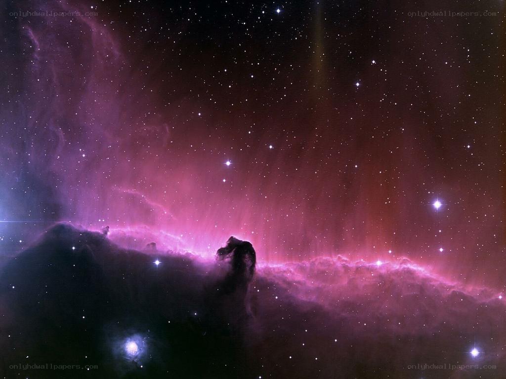 Horsehead Nebula in space
