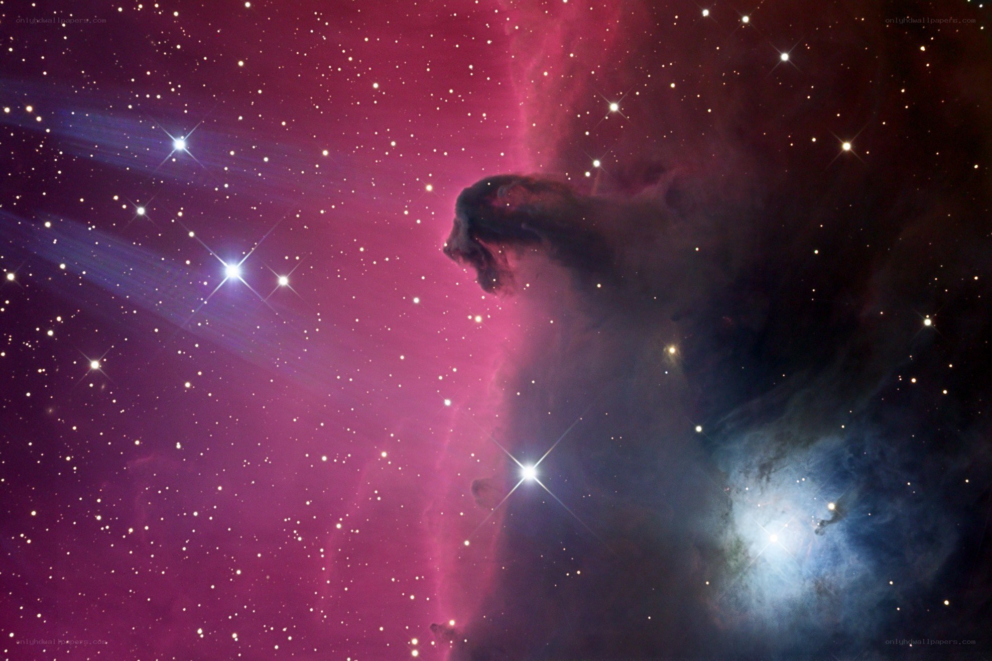 Horsehead Nebula in space