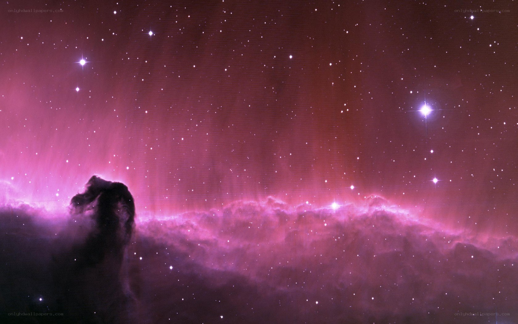 Horsehead Nebula in space