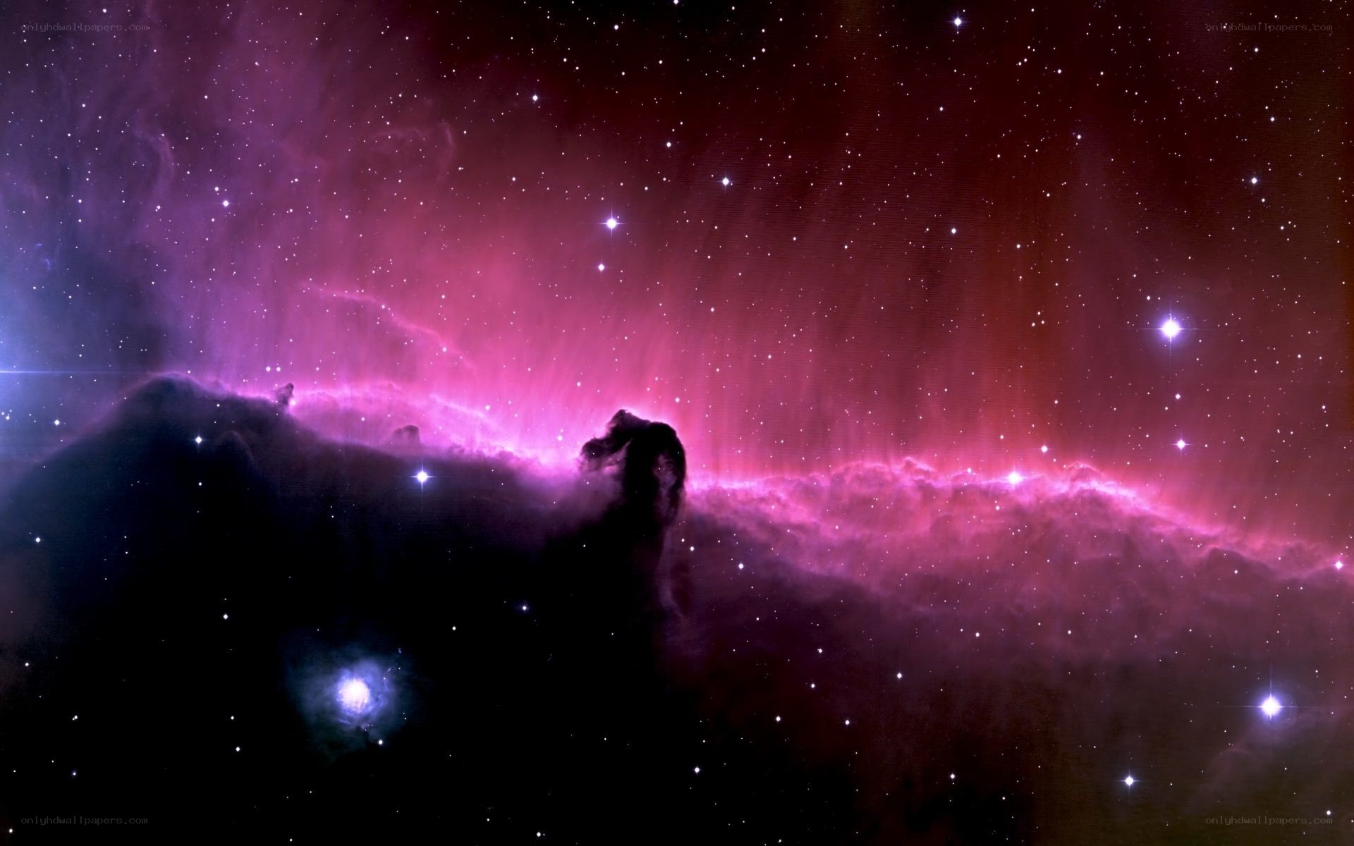 Horsehead Nebula in space