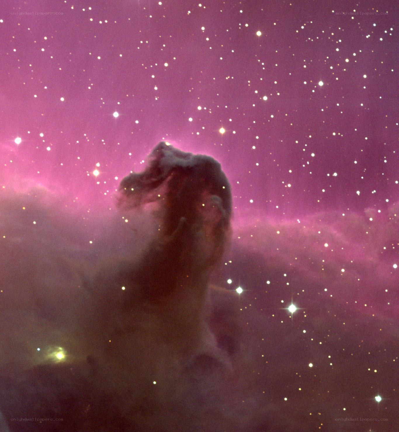 Horsehead Nebula in space