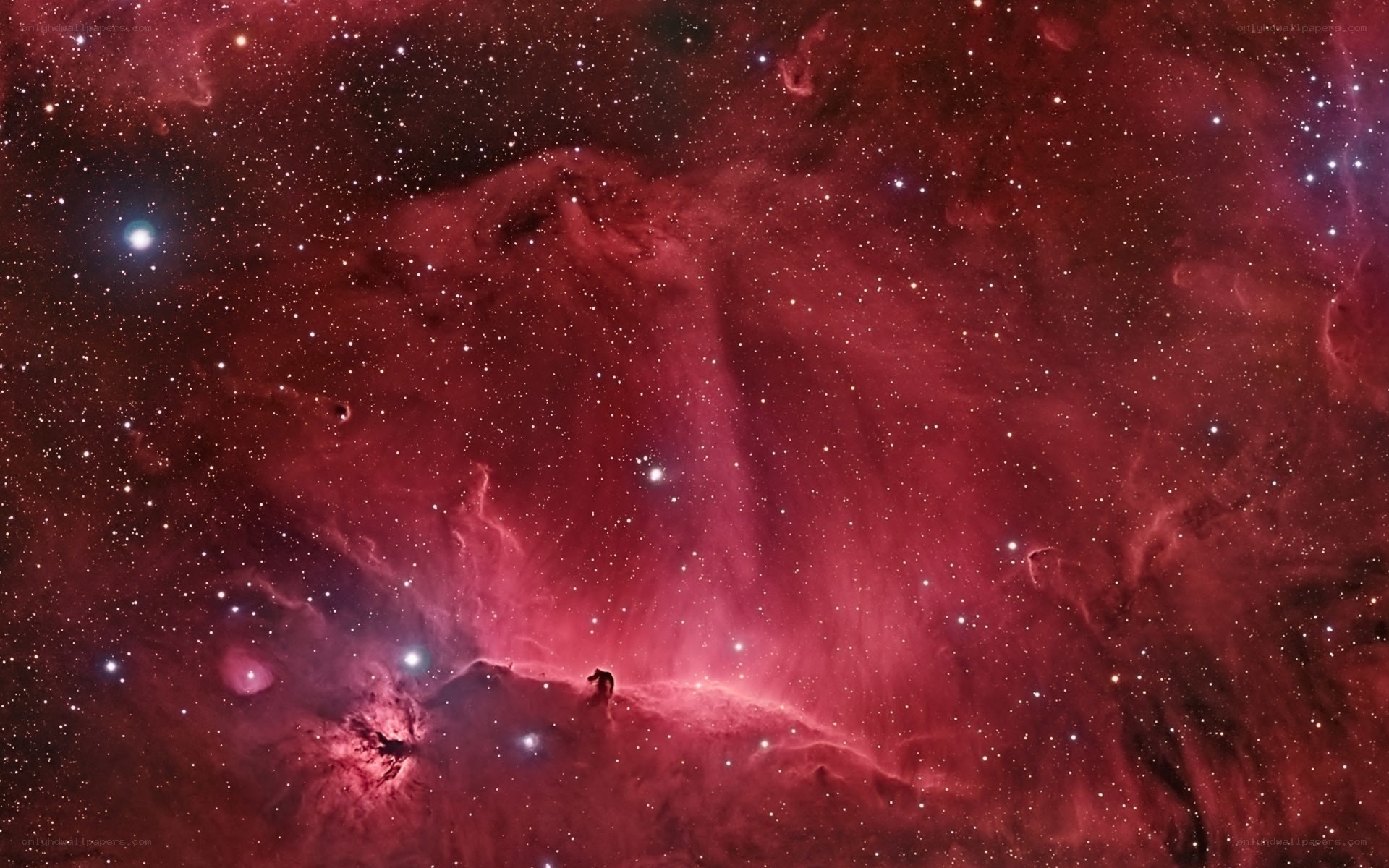 Horsehead Nebula in space
