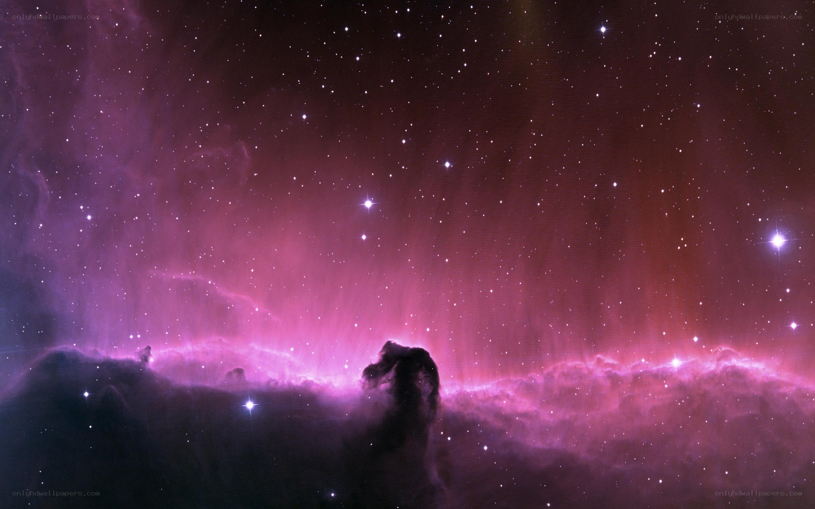Horsehead Nebula in space