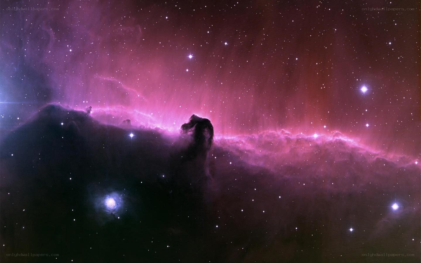 Horsehead Nebula in space