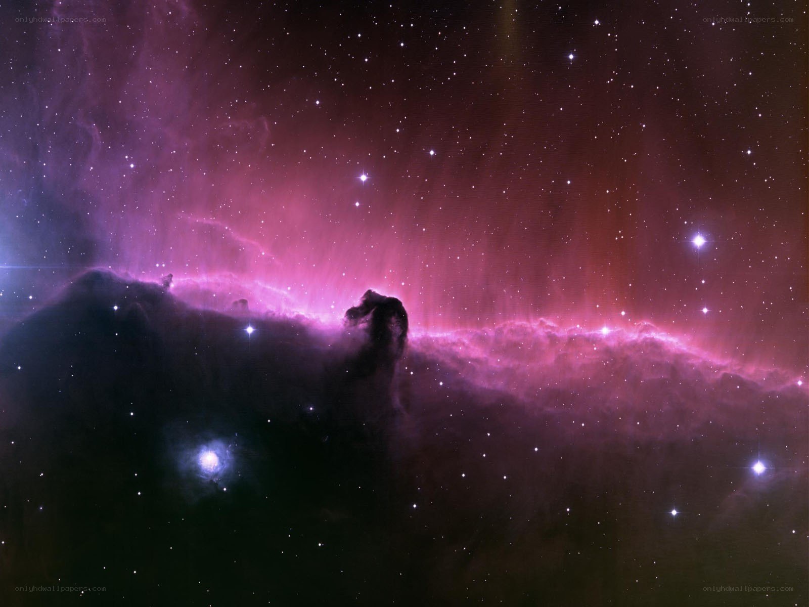 Horsehead Nebula in space