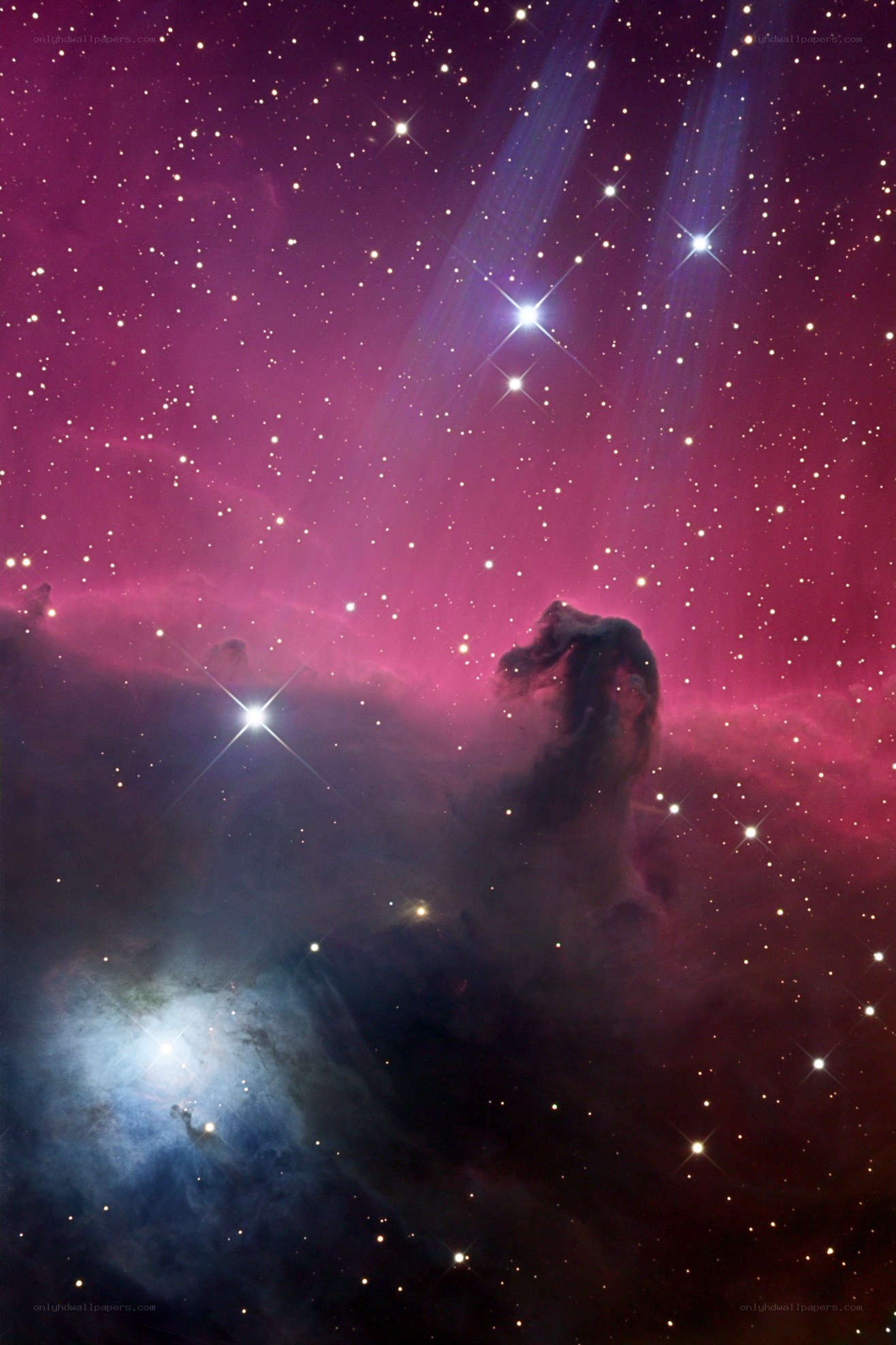 Horsehead Nebula in space