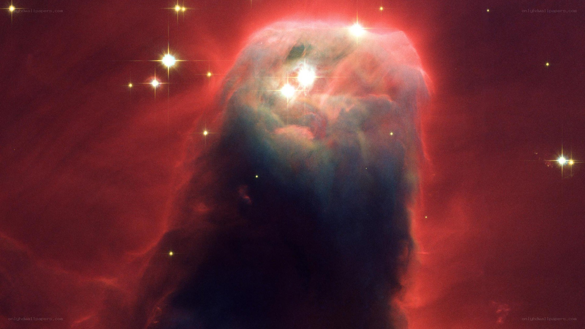 Horsehead Nebula in space