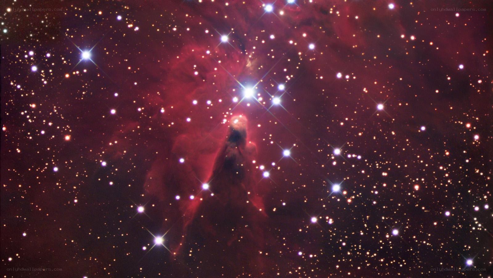 Horsehead Nebula in space