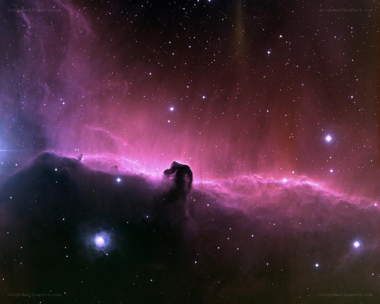Horsehead Nebula in space