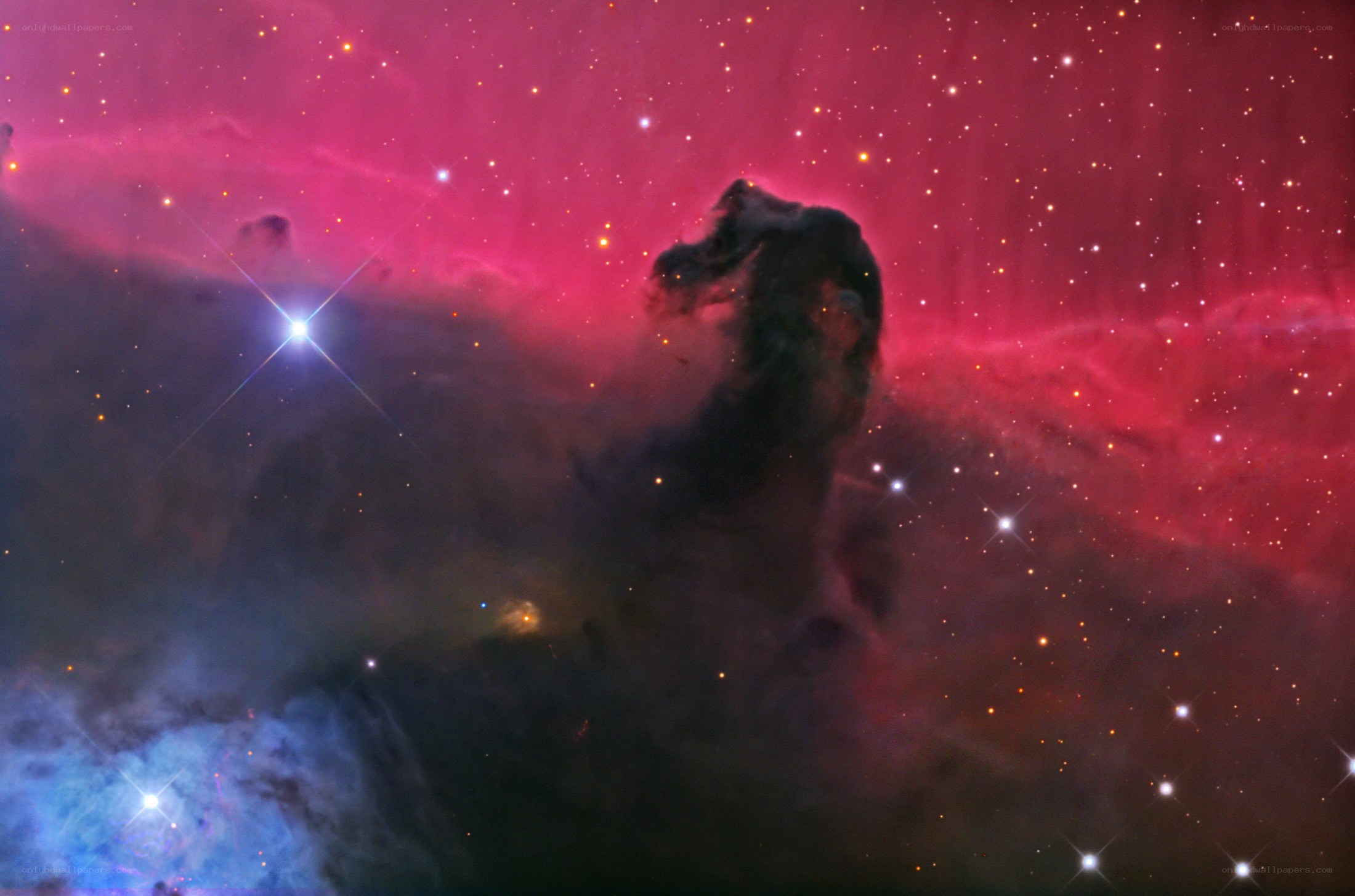 Horsehead Nebula in space