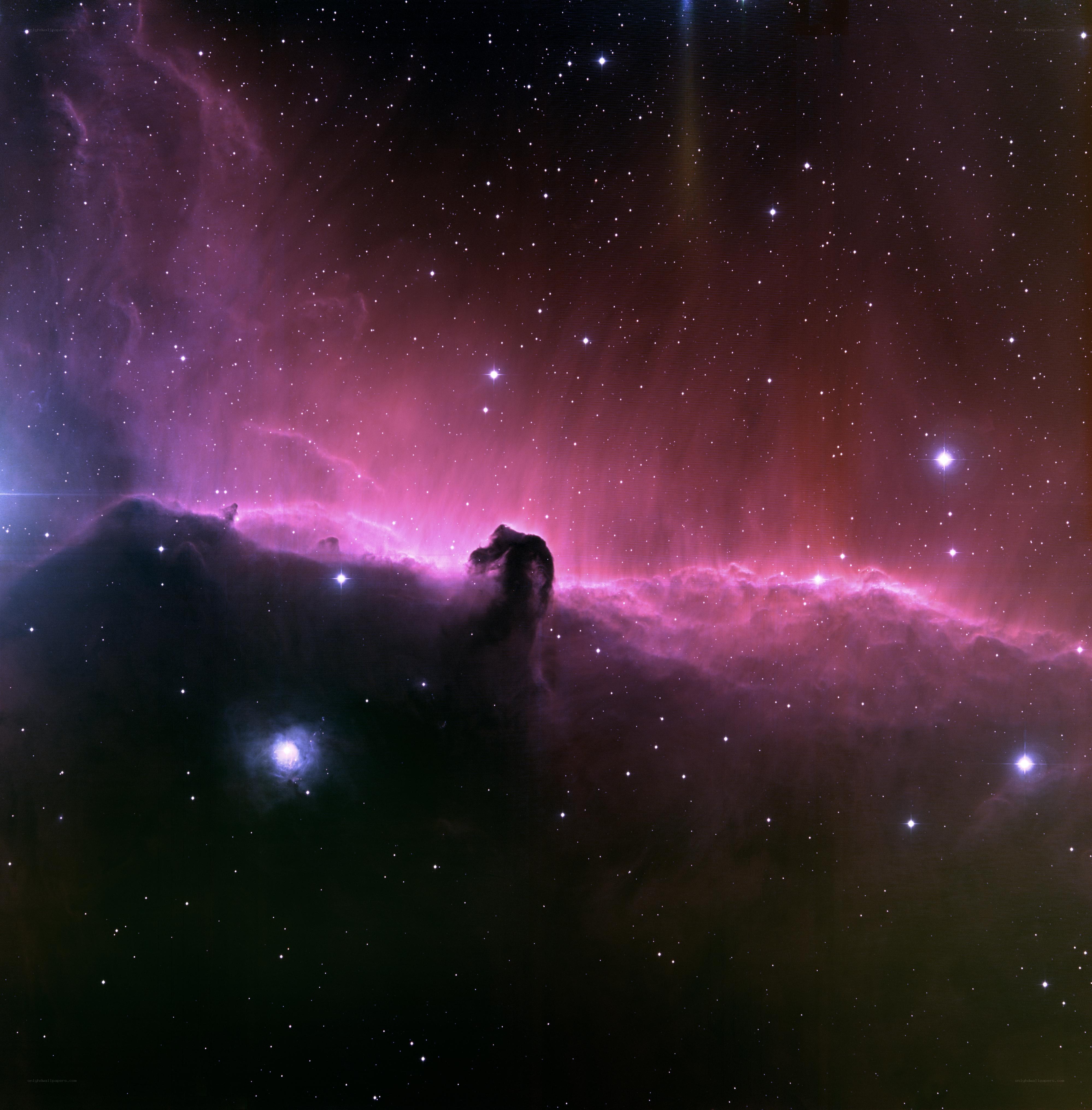 Horsehead Nebula in space