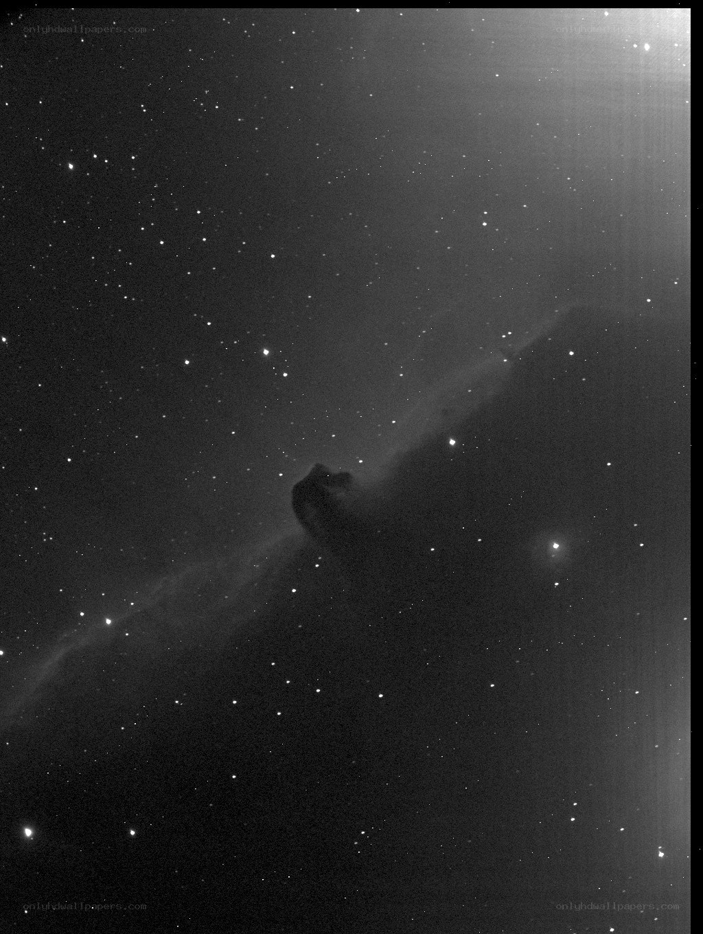 Horsehead Nebula in space