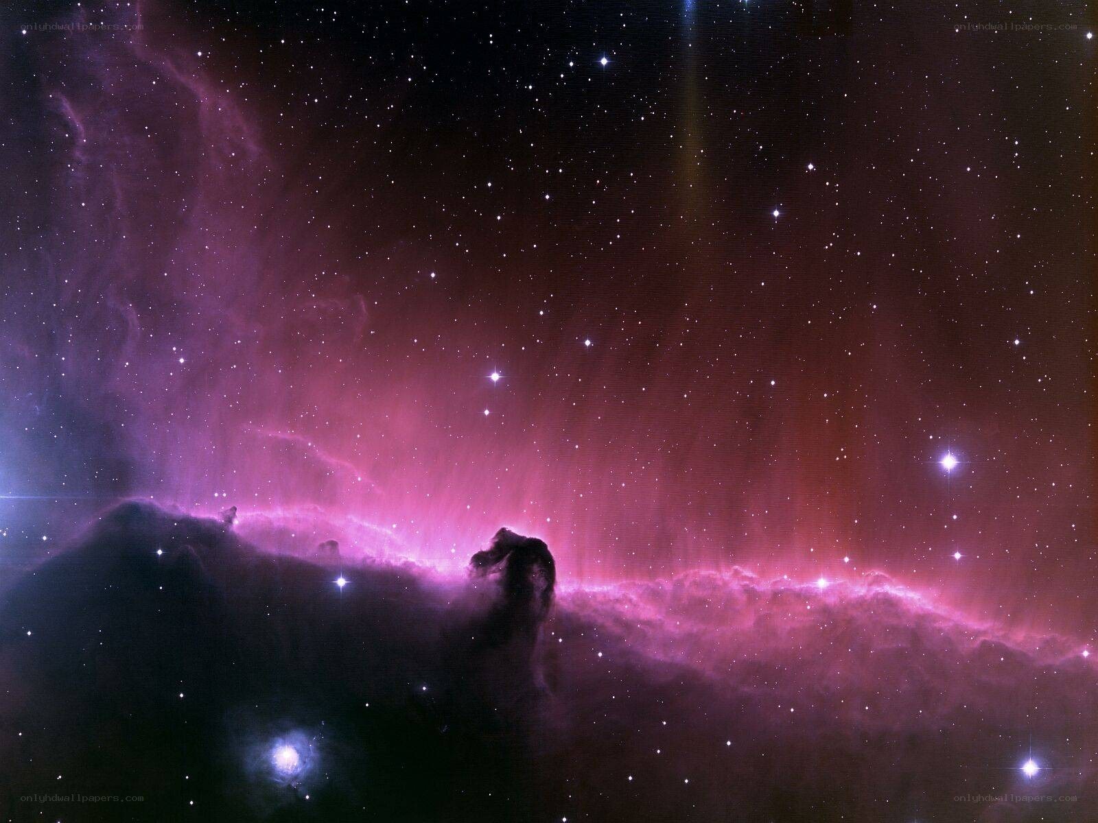 Horsehead Nebula in space