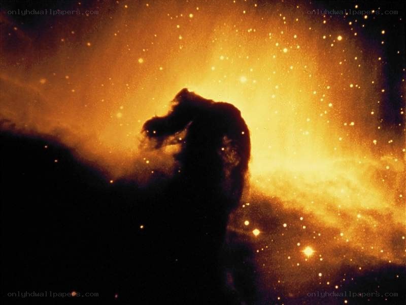 Horsehead Nebula in space